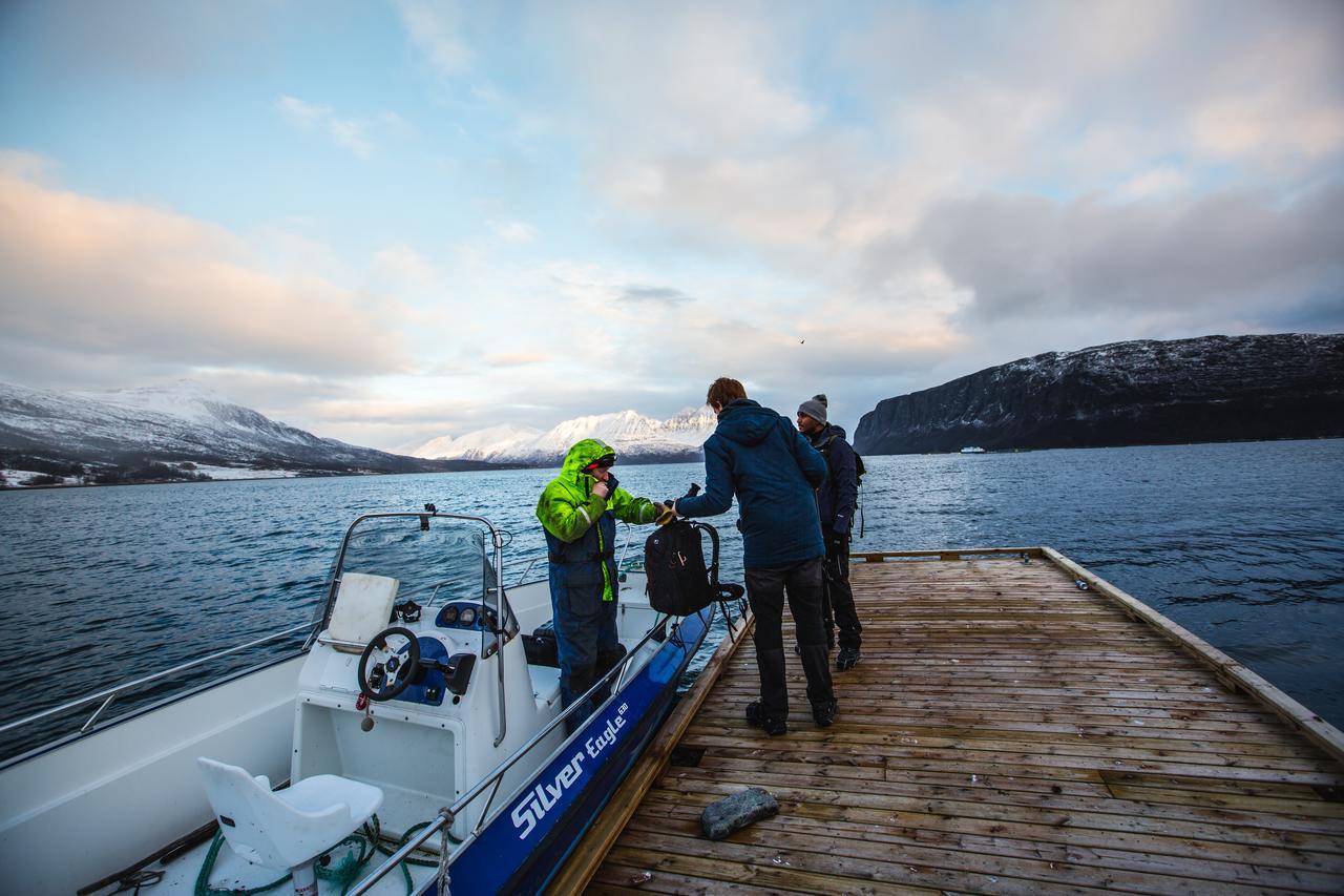 Uløybukta Arctic Panorama Lodge מראה חיצוני תמונה