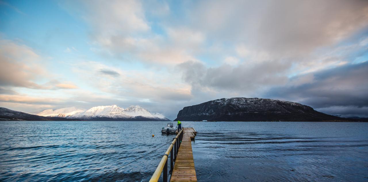 Uløybukta Arctic Panorama Lodge מראה חיצוני תמונה
