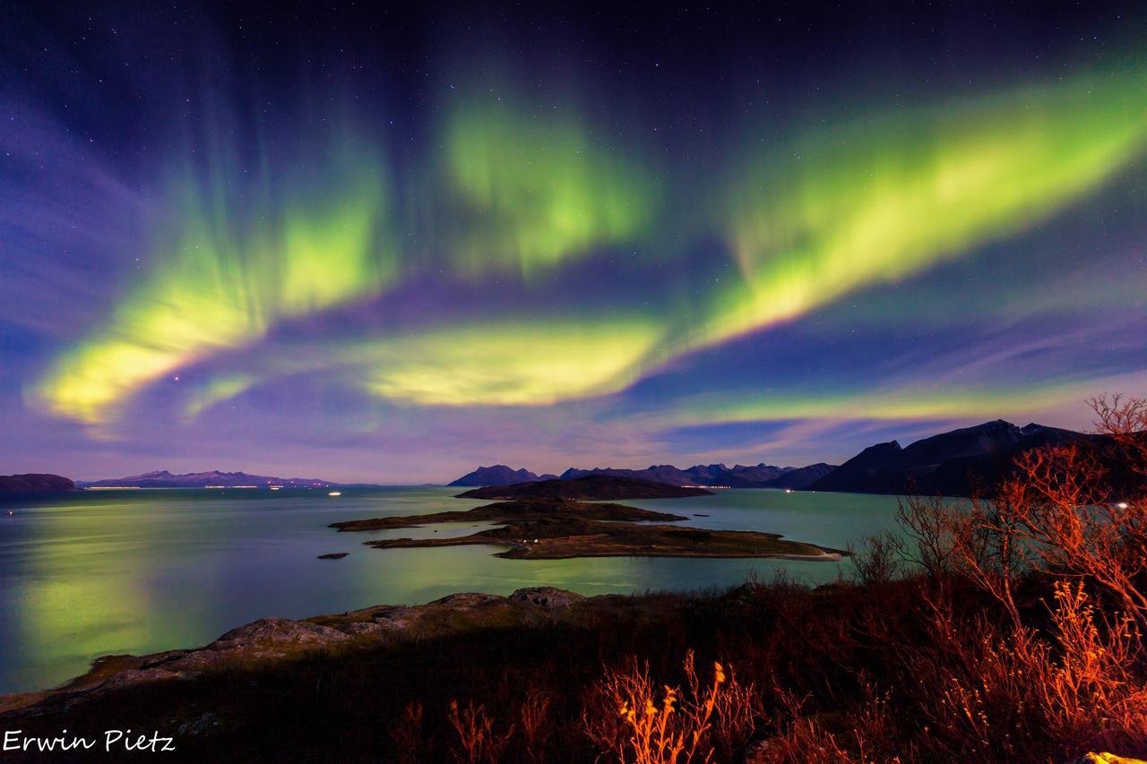 Uløybukta Arctic Panorama Lodge מראה חיצוני תמונה