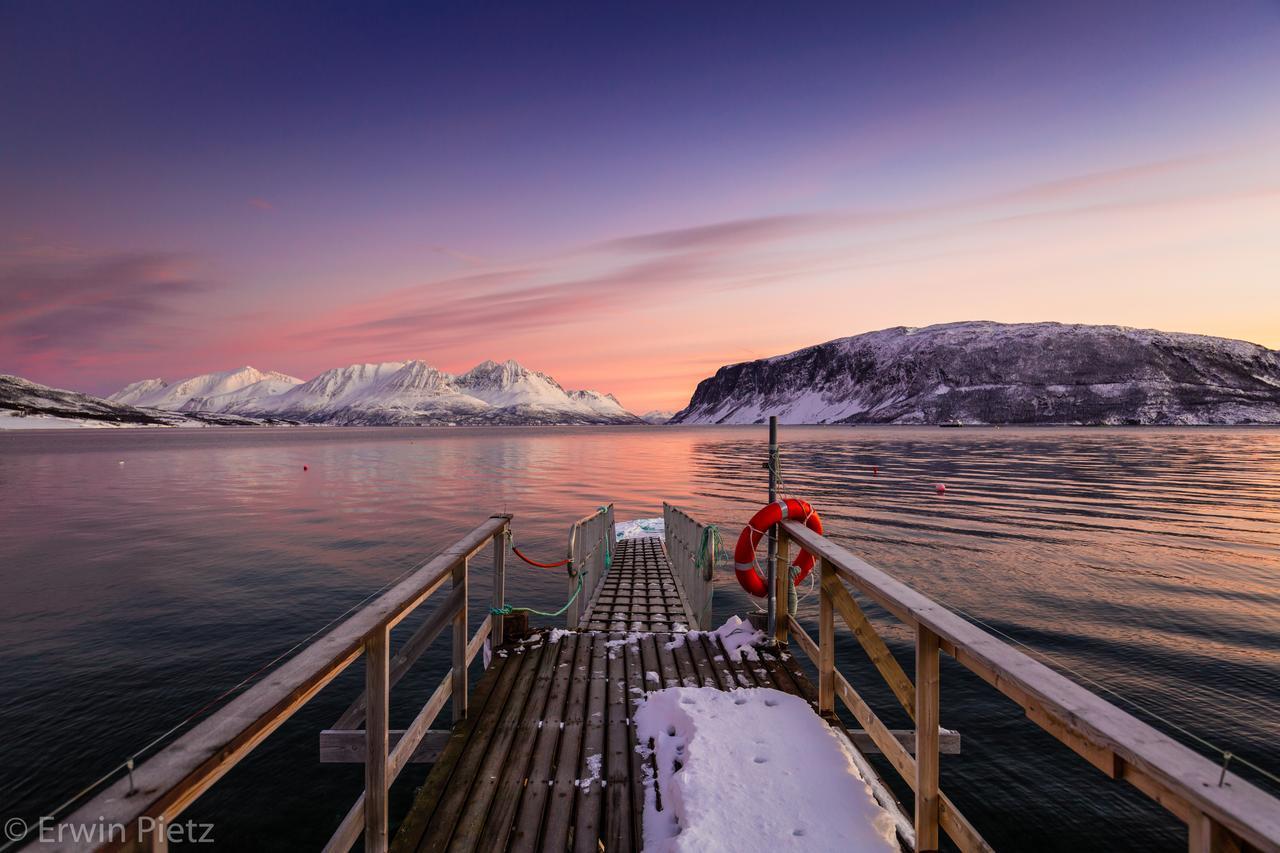 Uløybukta Arctic Panorama Lodge מראה חיצוני תמונה